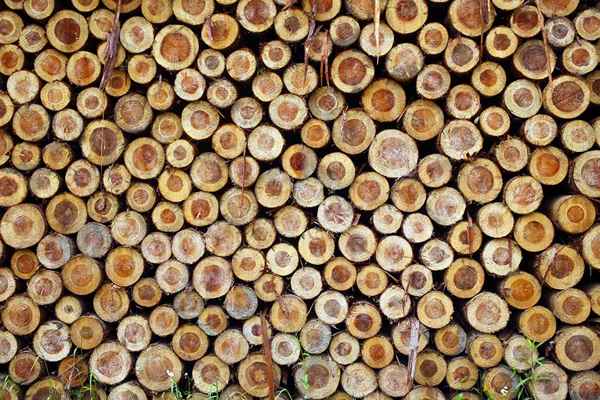 Une formule de tabulation du bois pour la scierie