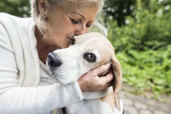 Un propriétaire peut-il nier un animal de soutien émotionnel?