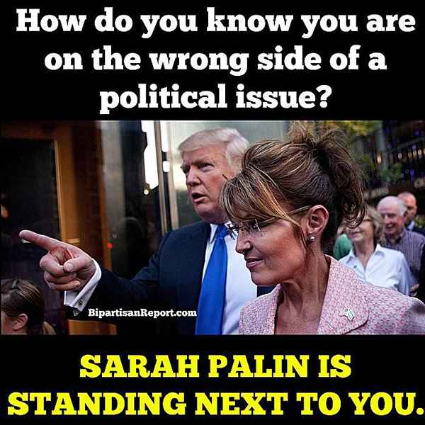 Lustigste Sarah Palin Memes