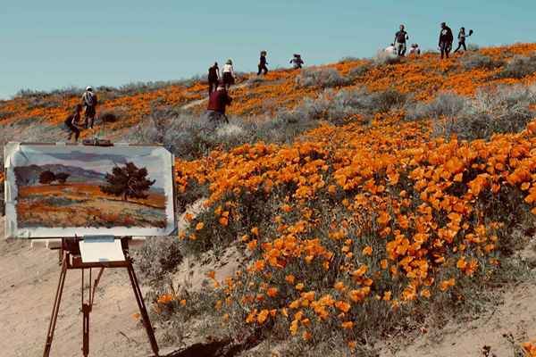 Photos de référence pour la peinture paysages