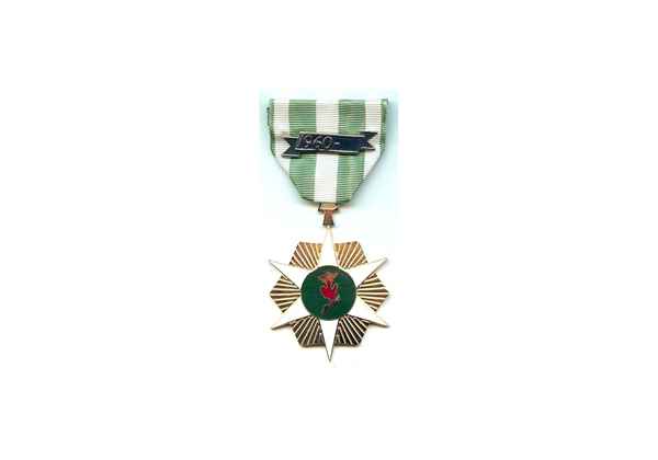 Medalla de campaña de la República de Vietnam