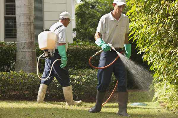 ¿Qué son los pesticidas organoclorados??