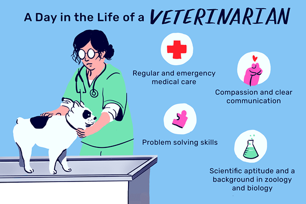 ¿Qué hace un veterinario (veterinario)??