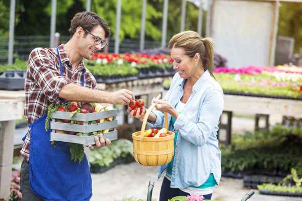 Cos'è l'agro agroalimentare?