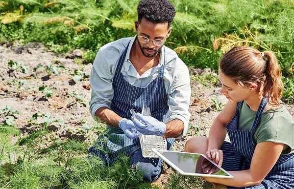 ¿Qué es un ingeniero agrícola??