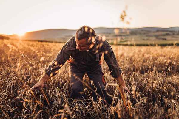 Cos'è l'agricoltura biologica?