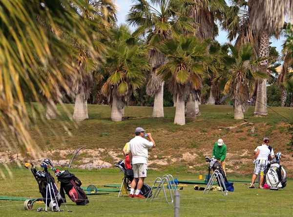Quelle est la «spin» des arbres de golf et avez-vous besoin de vous en soucier?