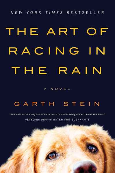 O que quer que acontecesse com a adaptação cinematográfica 'The Art of Racing in the Rain'?