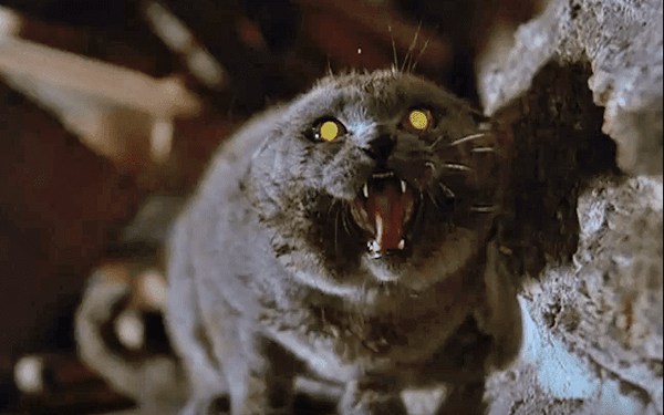 9 filmes de gatos extremamente assustadores