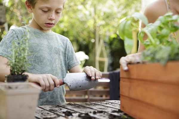 Trabajos apropiados para la edad para niños de nueve años