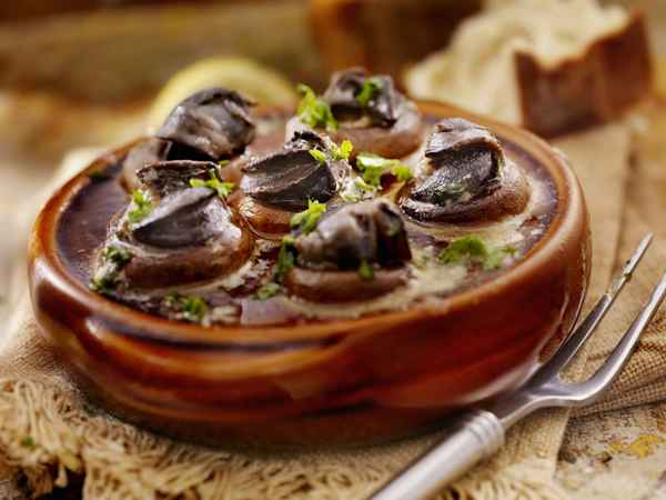 Un aperçu de la consommation d'escargots et de l'agriculture