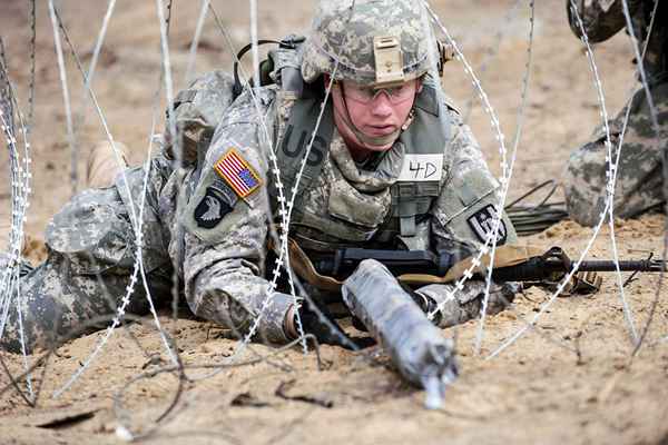 Die Armee hat Jobs Combat Engineer (12-B) eingetragen