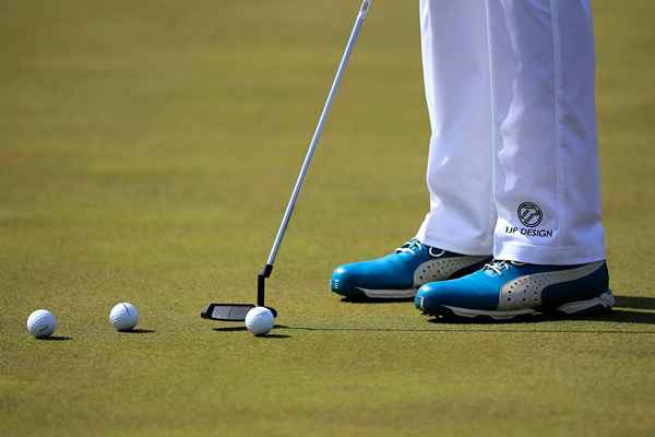 Bentgrass sui campi da golf