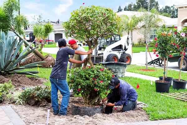 Seguro de negócios para sua empresa de paisagismo