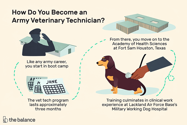 Karriereprofil u.S. Veterinärtechniker der Armee