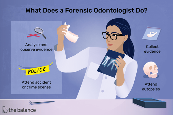 Perfil de carrera forense odontólogo (dentista)