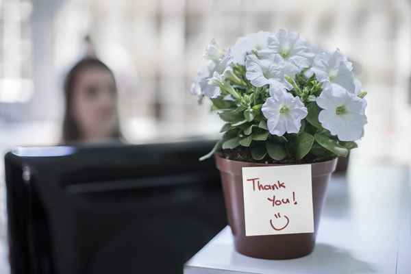 Richtlinien für die Bereitstellung von Geschenken bei der Arbeit