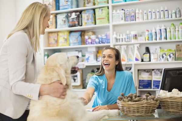 Tendencias calientes en la industria de las mascotas