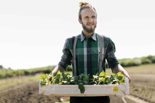 Cómo obtener la certificación orgánica del USDA