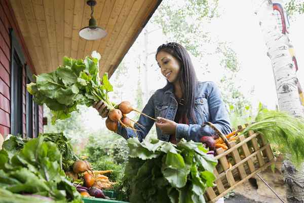 Cómo ahorrar dinero en comida orgánica
