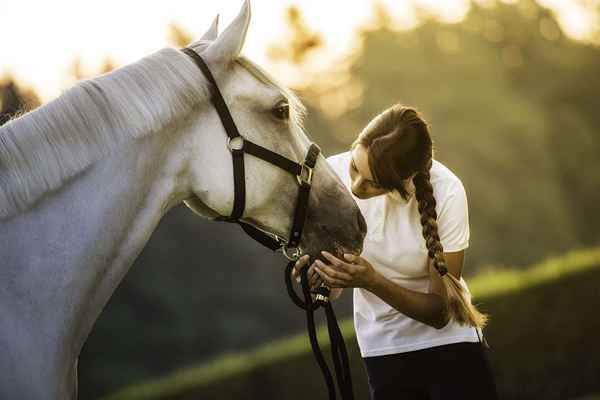 So starten Sie ein therapeutisches Reitprogramm