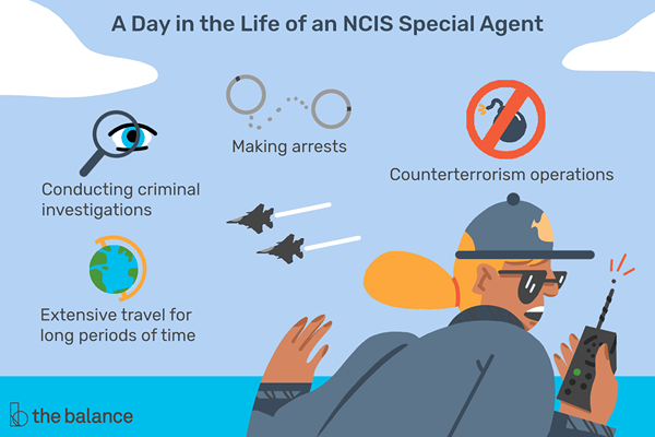 Perfil de trabajo Carrera de agentes especiales de NCIS