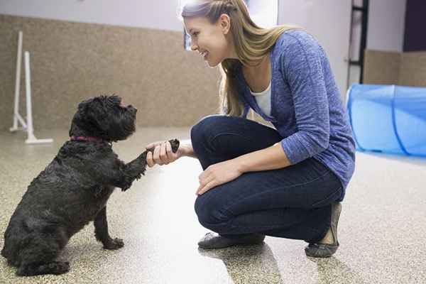 Aprenda acerca de ser un conductista animal