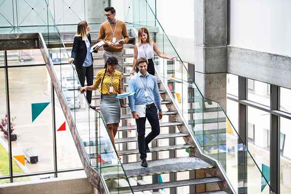 Renseignez-vous sur les niveaux scolaires des employés