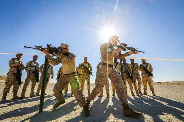 Guardia della forza di sicurezza del Corpo dei Marines (MOS 8152)