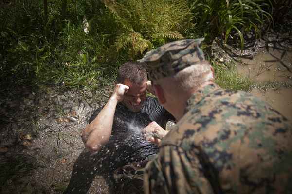 Entrenadores del Cuerpo de Marines