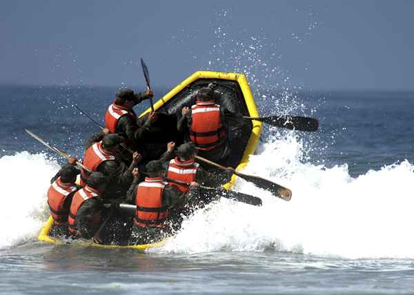 Navy Special Warfare Boat Operator (SB)