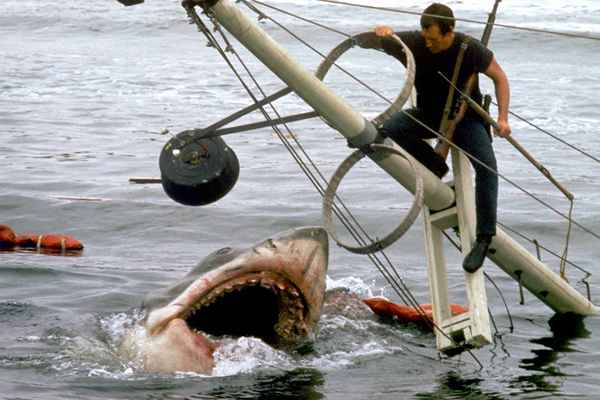 Histoire des films de requin et meilleurs films