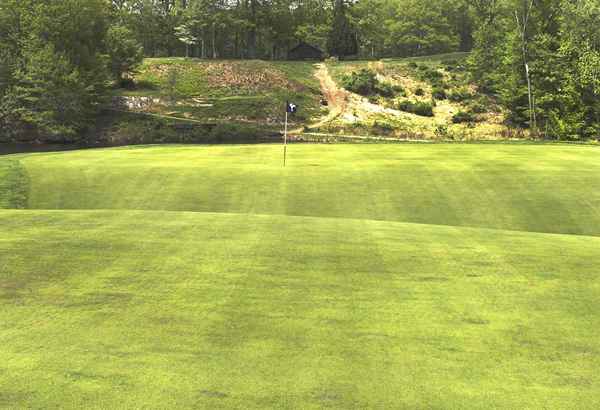 Il biarritz verde nel golf