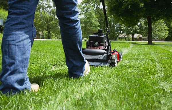 Les 6 meilleurs emplois d'été pour les 15 ans