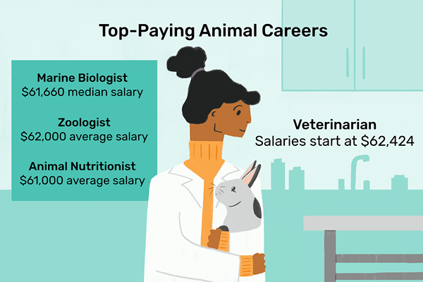 Principais carreiras de animais pagantes