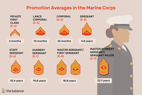 Promociones alistadas de USMC simplificadas