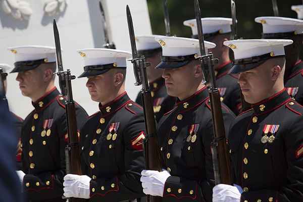 Elenco USMC di specialità professionali militari (MOS)