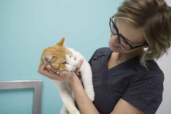 Borse di studio per tecnici veterinari