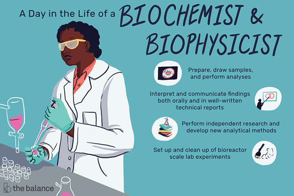 Co robią biochemicy i biofizycy?