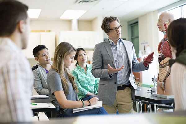 Que fait un professeur d'université?