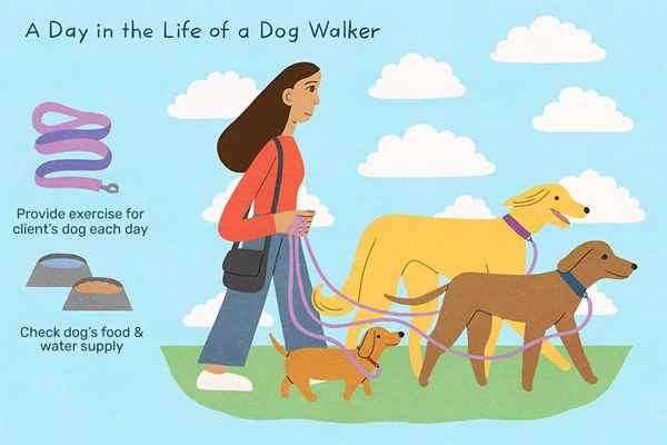 Cosa fa un dog walker?