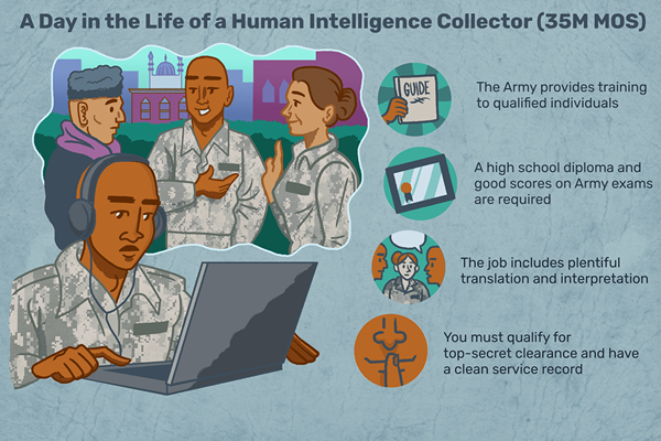 Que fait un collectionneur d'intelligence humaine (35m MOS)?