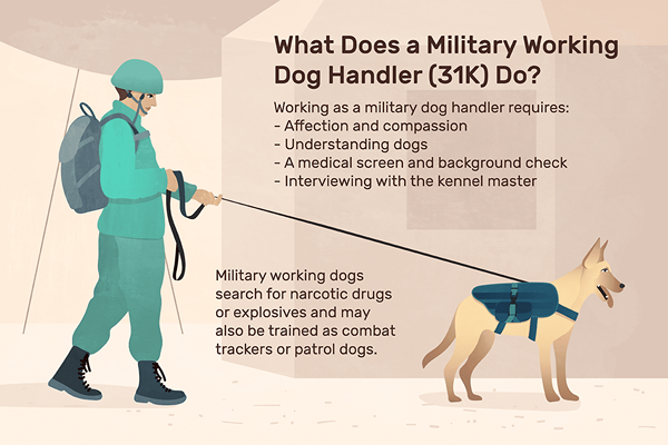 ¿Qué hace un manejador de perros de trabajo militar (31K)??