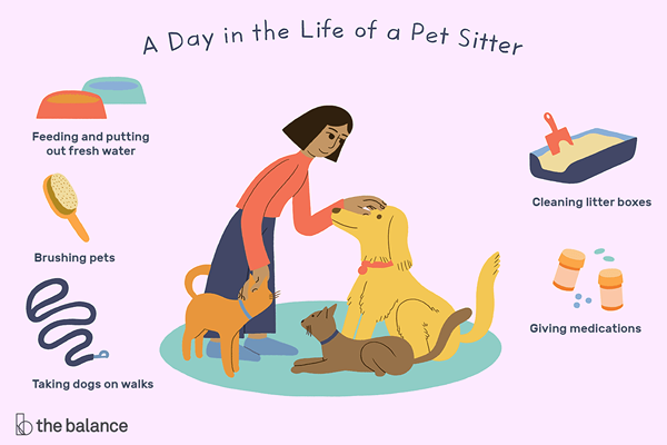 Cosa fa un pet sitter?