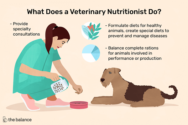 Que fait un nutritionniste vétérinaire?