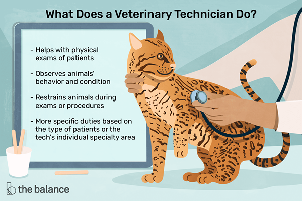 Was macht ein Veterinärtechniker??