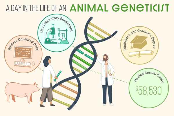 Cosa fa un genetista animale?