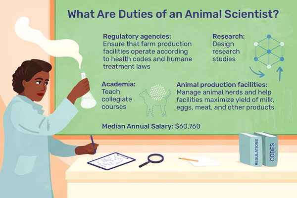 O que um cientista animal faz?