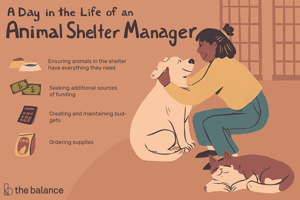 Hva gjør en Animal Shelter Manager?