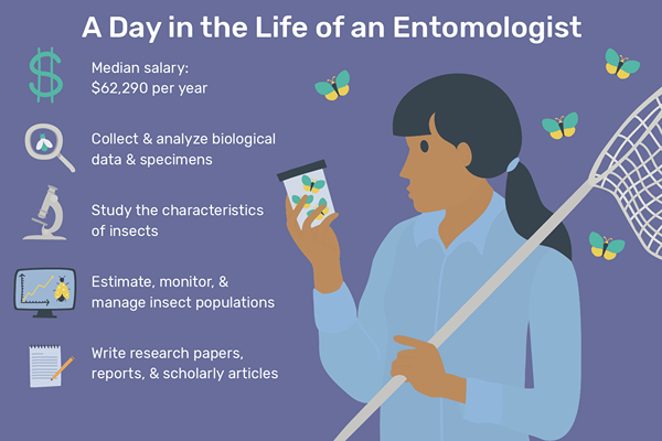 Was macht ein Entomologe??